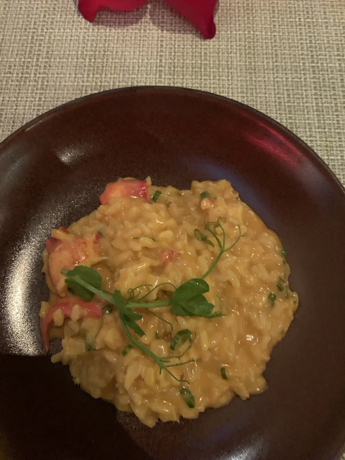 Lobster risotto plated for serving