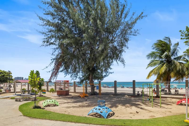 Beachfront lawn shaded by tropical trees